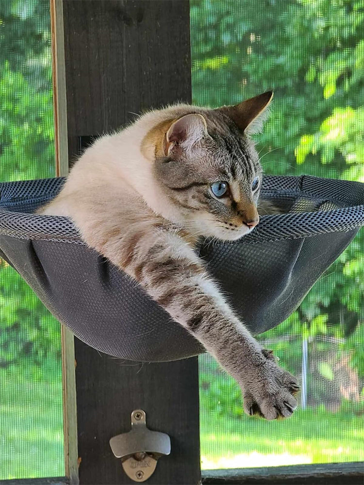 Wall Mounted Cat Hammock Foldable Wall Shelve