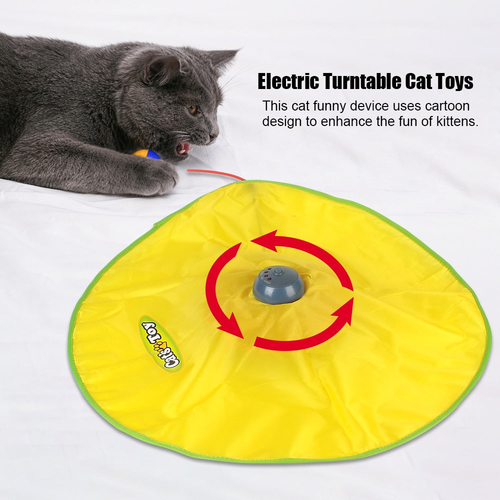 Undercover Mouse & Cat Toy