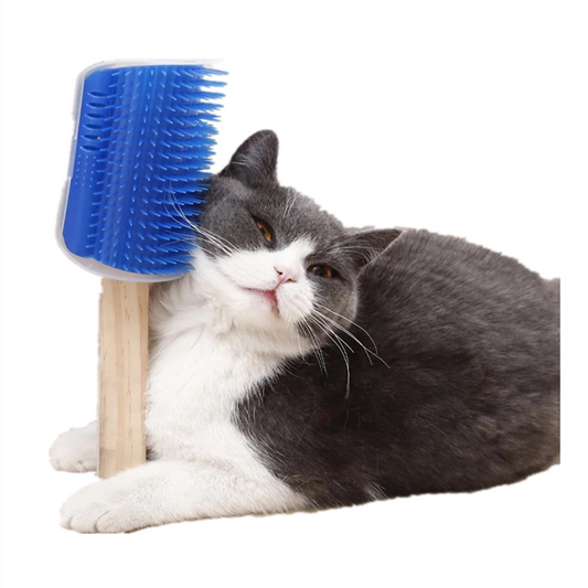 Cats Brush Corner Cat Massage Self Groomer